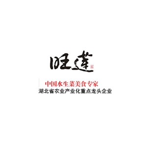 武汉世林福幸科技发展有限公司