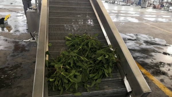 喷淋式清洗机